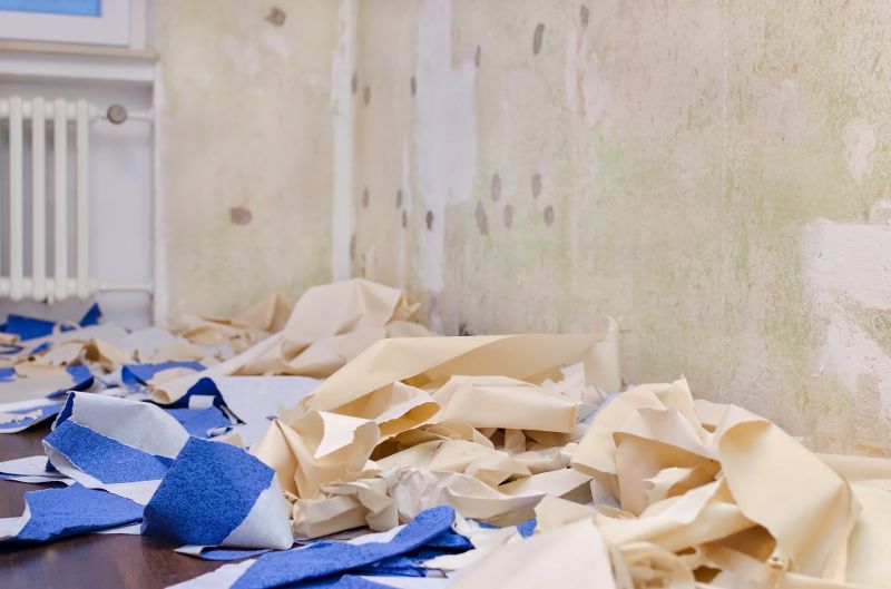 Interior Paint Stripping